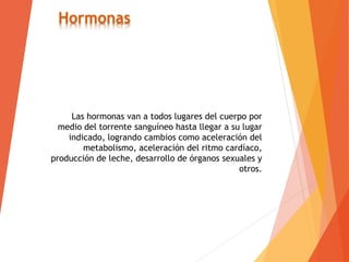 Las hormonas van a todos lugares del cuerpo por
medio del torrente sanguíneo hasta llegar a su lugar
indicado, logrando cambios como aceleración del
metabolismo, aceleración del ritmo cardíaco,
producción de leche, desarrollo de órganos sexuales y
otros.
Hormonas
 