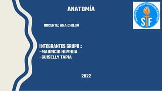 ANATOMÍA
INTEGRANTES GRUPO :
-MAURICIO HUYHUA
-GUISELLY TAPIA
DOCENTE: ANA CHILON
2022
 