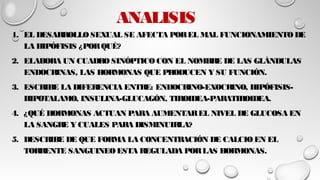 ANALISIS
1. EL DESARROLLO SEXUAL SE AFECTA POREL MAL FUNCIONAMIENTO DE
LA HIPÓFISIS ¿PORQUÉ?
2. ELABORA UN CUADRO SINÓPTICO CON EL NOMBRE DE LAS GLÁNDULAS
ENDOCRINAS, LAS HORMONAS QUE PRODUCEN Y SU FUNCIÓN.
3. ESCRIBE LA DIFERENCIA ENTRE: ENDOCRINO-EXOCRINO, HIPÓFISIS-
HIPOTALAMO, INSULINA-GLUCAGÓN, TIROIDEA-PARATIROIDEA.
4. ¿QUÉ HORMONAS ACTUAN PARA AUMENTAREL NIVEL DE GLUCOSA EN
LA SANGRE Y CUALES PARA DISMINUIRLA?
5. DESCRIBE DE QUE FORMA LA CONCENTRACIÓN DE CALCIO EN EL
TORRENTE SANGUINEO ESTA REGULADA PORLAS HORMONAS.
 