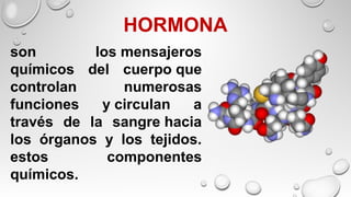 HORMONA
son los mensajeros
químicos del cuerpo que
controlan numerosas
funciones y circulan a
través de la sangre hacia
los órganos y los tejidos.
estos componentes
químicos.
 