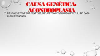 CAUSA GENÉTICA:
ACONDROPLASIAES UNA ENFERMEDAD GENÉTICA QUE AFECTA APROXIMADAMENTE A 1 DE CADA
25.000 PERSONAS.
 