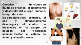 Cumplen funciones en
múltiples órganos, el crecimiento
y desarrollo del cuerpo humano,
la reproducción,
las características sexuales, el
uso y almacenamiento
de energía y el control de
los niveles en la sangre de
líquidos, sal y glucosa;
además, afectan al estado de
ánimo y al apetito sexual.
 