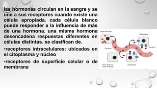 las hormonas circulan en la sangre y se
une a sus receptores cuando existe una
célula apropiada. cada célula blanco
puede responder a la influencia de más
de una hormona. una misma hormona
desencadena respuestas diferentes en
células distintas. se clasifican de.
•receptores intracelulares: ubicados en
el citoplasma y núcleo
•receptores de superficie celular o de
membrana
 