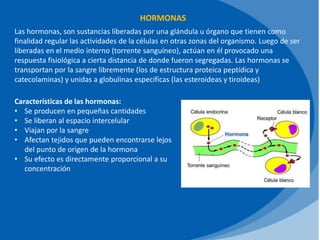 HORMONAS
Las hormonas, son sustancias liberadas por una glándula u órgano que tienen como
finalidad regular las actividades de la células en otras zonas del organismo. Luego de ser
liberadas en el medio interno (torrente sanguíneo), actúan en él provocado una
respuesta fisiológica a cierta distancia de donde fueron segregadas. Las hormonas se
transportan por la sangre libremente (los de estructura proteica peptídica y
catecolaminas) y unidas a globulinas especificas (las esteroideas y tiroideas)
Características de las hormonas:
• Se producen en pequeñas cantidades
• Se liberan al espacio intercelular
• Viajan por la sangre
• Afectan tejidos que pueden encontrarse lejos
del punto de origen de la hormona
• Su efecto es directamente proporcional a su
concentración
 