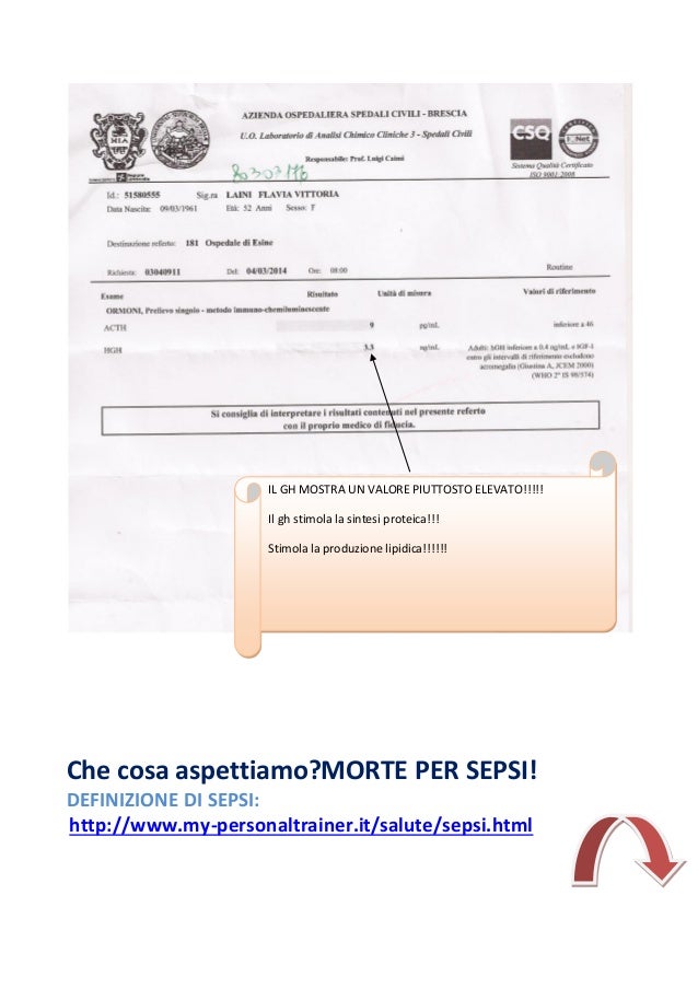 Catene Kappa E Lambda Cosa Sono
