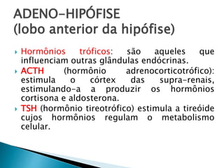 ADENO-HIPÓFISE
(lobo anterior da hipófise)
 Hormônios tróficos: são aqueles que
influenciam outras glândulas endócrinas.
 ACTH (hormônio adrenocorticotrófico):
estimula o córtex das supra-renais,
estimulando-a a produzir os hormônios
cortisona e aldosterona.
 TSH (hormônio tireotrófico) estimula a tireóide
cujos hormônios regulam o metabolismo
celular.
 