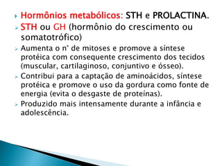  Hormônios metabólicos: STH e PROLACTINA.
 STH ou GH (hormônio do crescimento ou
somatotrófico)
 Aumenta o n° de mitoses e promove a síntese
protéica com consequente crescimento dos tecidos
(muscular, cartilaginoso, conjuntivo e ósseo).
 Contribui para a captação de aminoácidos, síntese
protéica e promove o uso da gordura como fonte de
energia (evita o desgaste de proteínas).
 Produzido mais intensamente durante a infância e
adolescência.
 