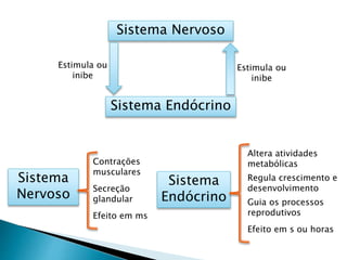 Sistema Nervoso
Estimula ou
inibe
Sistema Endócrino
Estimula ou
inibe
Sistema
Nervoso
Contrações
musculares
Secreção
glandular
Sistema
Endócrino
Altera atividades
metabólicas
Regula crescimento e
desenvolvimento
Guia os processos
reprodutivosEfeito em ms
Efeito em s ou horas
 