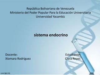 República Bolivariana de Venezuela
Ministerio del Poder Popular Para la Educación Universitaria
Universidad Yacambù
sistema endocrino
Docente: Estudiante:
Xiomara Rodríguez Clara Reyes
 