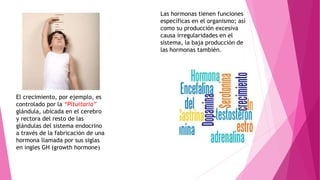 Las hormonas tienen funciones
específicas en el organismo; así
como su producción excesiva
causa irregularidades en el
sistema, la baja producción de
las hormonas también.
El crecimiento, por ejemplo, es
controlado por la “Pituitaria”
glándula, ubicada en el cerebro
y rectora del resto de las
glándulas del sistema endocrino
a través de la fabricación de una
hormona llamada por sus siglas
en ingles GH (growth hormone)
 