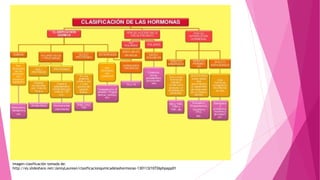 Imagen-clasificación tomada de:
http://es.slideshare.net/JannyLaurean/clasificacionqumicadelashormonas-130113210726phpapp01
 