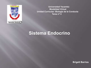 Universidad Yacambú
Modalidad Virtual
Unidad Curricular: Biología de la Conducta
Tarea nº 4
Brigett Barrios
Sistema Endocrino
 