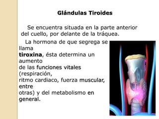 La hormona de que segrega se
llama
tiroxina, ésta determina un
aumento
de las funciones vitales
(respiración,
ritmo cardiaco, fuerza muscular,
entre
otras) y del metabolismo en
general.
Se encuentra situada en la parte anterior
del cuello, por delante de la tráquea.
Glándulas Tiroides
 