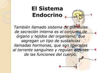 También llamado sistema de glándulas
de secreción interna es el conjunto de
órgano y tejidos del organismo, que
segregan un tipo de sustancias
llamadas hormonas, que son liberadas
al torrente sanguíneo y regulan algunas
de las funciones del cuerpo.
 