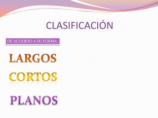 CLASIFICACIÓN
DE ACUERDO A SU FORMA:

 