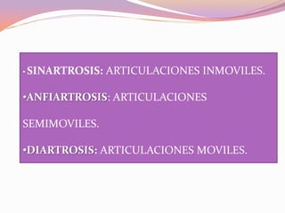 • SINARTROSIS:

ARTICULACIONES INMOVILES.

•ANFIARTROSIS: ARTICULACIONES

SEMIMOVILES.
•DIARTROSIS: ARTICULACIONES MOVILES.

 