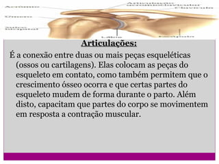 Articulações:
É a conexão entre duas ou mais peças esqueléticas
(ossos ou cartilagens). Elas colocam as peças do
esqueleto em contato, como também permitem que o
crescimento ósseo ocorra e que certas partes do
esqueleto mudem de forma durante o parto. Além
disto, capacitam que partes do corpo se movimentem
em resposta a contração muscular.