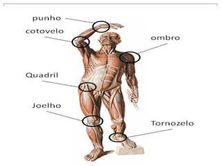 Sistema Esqueletico