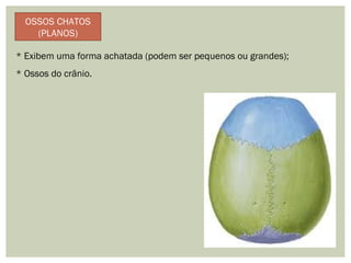 OSSOS CHATOS
(PLANOS)
* Exibem uma forma achatada (podem ser pequenos ou grandes);
* Ossos do crânio.
 