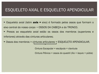 ESQUELETO AXIAL E ESQUELETO APENDICULAR
► Esqueleto axial (latim axis = eixo) é formado pelos ossos que formam o
eixo central do nosso corpo → OSSOS DA CABEÇA e do TRONCO.
► Presos ao esqueleto axial estão os ossos dos membros (superiores e
inferiores) através das cinturas articulares;
► Ossos dos membros + cinturas articulares = ESQUELETO APENDICULAR.
Cintura Escapular = escápula + clavícula
Cintura Pélvica = ossos do quadril (ílio + ísquio + púbis)
 