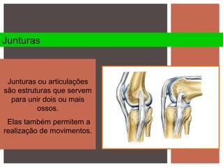 Junturas ou articulações
são estruturas que servem
para unir dois ou mais
ossos.
Elas também permitem a
realização de movimentos.
Junturas
 