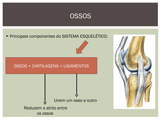 OSSOS
► Principais componentes do SISTEMA ESQUELÉTICO;
OSSOS + CARTILAGENS + LIGAMENTOS
Reduzem o atrito entre
os ossos
Unem um osso a outro
 
