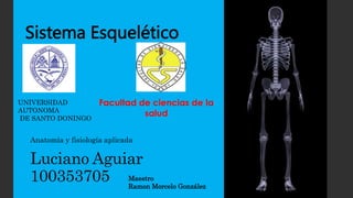 Luciano Aguiar
100353705
Sistema Esquelético
Anatomía y fisiología aplicada
UNIVERSIDAD
AUTONOMA
DE SANTO DONINGO
Maestro
Ramon Morcelo González
 