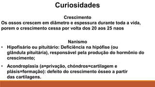 Curiosidades
Crescimento
Os ossos crescem em diâmetro e espessura durante toda a vida,
porem o crescimento cessa por volta dos 20 aos 25 naos
Nanismo
• Hipofisário ou pituitário: Deficiência na hipófise (ou
glândula pituitária), responsável pela produção do hormônio do
crescimento;
• Acondroplasia (a=privação, chóndros=cartilagem e
plásis=formação): defeito do crescimento ósseo a partir
das cartilagens.
 