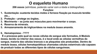 O esqueleto Humano
206 ossos (admitisse, podendo variar com a idade e bibliografias).
Funções:
1. Sustentação -sustenta tecidos moles e fornece fixação pa musculo tendão
etc...
2. Proteção – protege os órgãos.
3. Movimento – se junta aos músculos para movimentar o corpo.
4. Reserva de minerais.
5. Armazenamento de triglicerídeos na medula óssea amarela.
6. Hematopoiese - ????
É o processo pelo qual as novas células do sangue são formados, A Medula
óssea, tecido no interior dos ossos, é o local onde as células vermelhas do
sangue, maioria das células brancas e as plaquetas são produzidas. Dentro da
medula óssea, células hematopoiéticas chamadas células estaminais são capazes
de produzir todas as diferentes tipos de células sanguíneas.
 