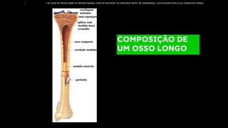 COMPOSIÇÃO DE
UM OSSO LONGO
r do canal de Havers estão as lamelas ósseas, onde se encontram os osteócitos dentro de osteoplastos, comunicando entre si por canalículos radiais.
 