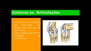 Junturas ou articulações
são estruturas que
servem para unir dois ou
mais ossos.
Elas também permitem a
realização de
movimentos.
Junturas ou Articulações
 