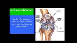 Lesões (graves) em
atletas, normalmente
envolvem junturas ou
articulações.
Junturas (detalhe)
 