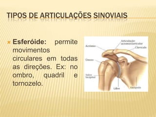 TIPOS DE ARTICULAÇÕES SINOVIAIS


   Esferóide: permite
    movimentos
    circulares em todas
    as direções. Ex: no
    ombro, quadril e
    tornozelo.
 
