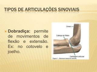 TIPOS DE ARTICULAÇÕES SINOVIAIS



   Dobradiça: permite
    de movimentos de
    flexão e extensão.
    Ex: no cotovelo e
    joelho.
 