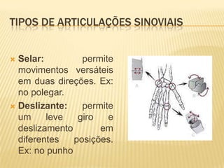 TIPOS DE ARTICULAÇÕES SINOVIAIS


 Selar:         permite
  movimentos versáteis
  em duas direções. Ex:
  no polegar.
 Deslizante:    permite
  um     leve   giro   e
  deslizamento       em
  diferentes   posições.
  Ex: no punho
 