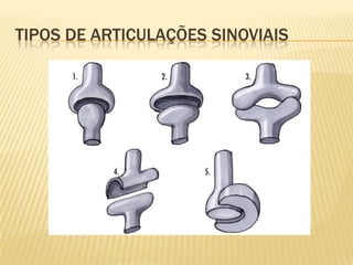 TIPOS DE ARTICULAÇÕES SINOVIAIS
 