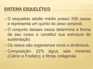 SISTEMA ESQUELÉTICO

 O esqueleto adulto médio possui 206 ossos
  e representa um quinto do peso corporal.
 O conjunto desses ossos determina a forma
  de seu corpo e constitui sua estrutura de
  sustentação.
 Os ossos são organismos vivos e dinâmicos.

 Composição: 22% água; sais            minerais
  (Cálcio e Fosfato); e fibras colágenas.
 