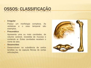 OSSOS: CLASSIFICAÇÃO

   Irregular
    Possui um morfologia complexa. As
    vértebras e o osso temporal são
    exemplos.
   Pneumático
    Apresenta uma ou mais cavidades, de
    volume variável, revestida de mucosa e
    contendo ar. Estas cavidades recebem o
    nome de seio.
   Sesamoídes
   Desenvolvem na substância de certos
    tendões ou da capsula fibrosa de certas
    articulações.
 