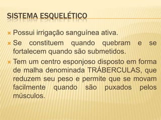 SISTEMA ESQUELÉTICO

 Possui irrigação sanguínea ativa.
 Se constituem quando quebram e se
  fortalecem quando são submetidos.
 Tem um centro esponjoso disposto em forma
  de malha denominada TRÁBERCULAS, que
  reduzem seu peso e permite que se movam
  facilmente quando são puxados pelos
  músculos.
 