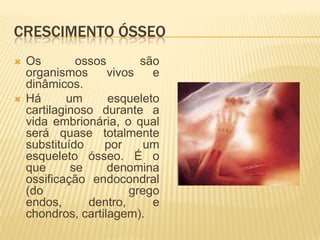 CRESCIMENTO ÓSSEO
   Os         ossos       são
    organismos       vivos   e
    dinâmicos.
   Há       um      esqueleto
    cartilaginoso durante a
    vida embrionária, o qual
    será quase totalmente
    substituído     por     um
    esqueleto ósseo. É o
    que       se     denomina
    ossificação endocondral
    (do                  grego
    endos,       dentro,     e
    chondros, cartilagem).
 