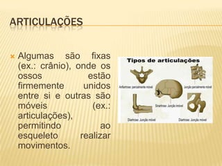 ARTICULAÇÕES


   Algumas são fixas
    (ex.: crânio), onde os
    ossos             estão
    firmemente       unidos
    entre si e outras são
    móveis             (ex.:
    articulações),
    permitindo            ao
    esqueleto       realizar
    movimentos.
 