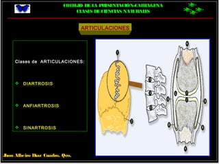 COLEGIO DELA PRESENTACIÓN-CARTAGENA
CLASES DECIENCIAS NATURALES
Jhon Albeiro Díaz Cuadro, Qco.
ARTICULACIONES
Clases de ARTICULACIONES:
 DIARTROSIS
 ANFIARTROSIS
 SINARTROSIS
 