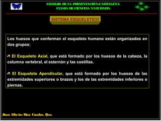 COLEGIO DELA PRESENTACIÓN-CARTAGENA
CLASES DECIENCIAS NATURALES
Jhon Albeiro Díaz Cuadro, Qco.
SISTEMA ESQUELETICO
Los huesos que conforman el esqueleto humano están organizados en
dos grupos:
El Esqueleto Axial, que está formado por los huesos de la cabeza, la
columna vertebral, el esternón y las costillas.
El Esqueleto Apendicular, que está formado por los huesos de las
extremidades superiores o brazos y los de las extremidades inferiores o
piernas.
 