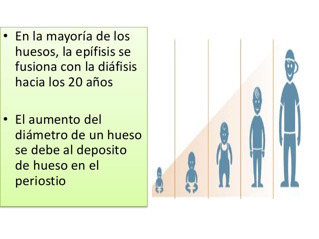 Professioni ed esercizi per aumento di un pene