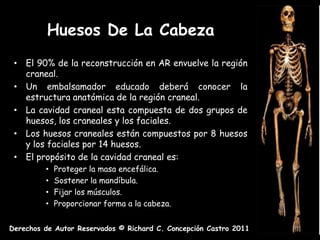 Huesos De La Cabeza
 • El 90% de la reconstrucción en AR envuelve la región
   craneal.
 • Un embalsamador educado deberá conocer la
   estructura anatómica de la región craneal.
 • La cavidad craneal esta compuesta de dos grupos de
   huesos, los craneales y los faciales.
 • Los huesos craneales están compuestos por 8 huesos
   y los faciales por 14 huesos.
 • El propósito de la cavidad craneal es:
         •   Proteger la masa encefálica.
         •   Sostener la mandíbula.
         •   Fijar los músculos.
         •   Proporcionar forma a la cabeza.


Derechos de Autor Reservados © Richard C. Concepción Castro 2011
 