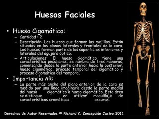 Huesos Faciales
 • Hueso Cigomático:
     – Cantidad : 2
     – Descripción: Los huesos que forman las mejillas. Están
       situados en los planos laterales y frontales de la cara.
       Los huesos forman parte de las superficies inferiores y
       laterales del agujero óptico.
     – Articulaciones: El hueso cigomático tiene una
       característica peculiares, se nombra de tres maneras,
       comenzando desde la parte anterior hacia la posterior,
       hueso cigomático, proceso temporal del cigomático y
       proceso cigomático del temporal.
 • Importancia AR:
     – La parte más ancha del plano anterior de la cara es
       medido por una línea imaginaria desde la parte medial
       del hueso      cigomático a hueso cigomático. Esta área
       se distingue           en    utilizar  maquillaje    de
       características cromáticas              oscuras.


Derechos de Autor Reservados © Richard C. Concepción Castro 2011
 