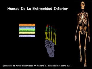 Huesos De La Extremidad Inferior




Derechos de Autor Reservados © Richard C. Concepción Castro 2011
 