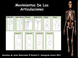 Movimientos De Las
                Articulaciones




Derechos de Autor Reservados © Richard C. Concepción Castro 2011
 