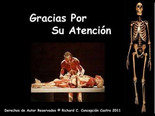 Gracias Por
                 Su Atención




Derechos de Autor Reservados © Richard C. Concepción Castro 2011
 