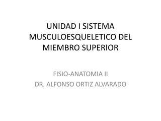 UNIDAD I SISTEMA
MUSCULOESQUELETICO DEL
  MIEMBRO SUPERIOR

       FISIO-ANATOMIA II
 DR. ALFONSO ORTIZ ALVARADO
 